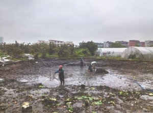 奎文河道鱼塘清淤