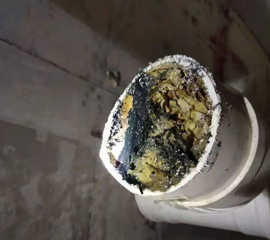 1784939099903981.png 1690766556366220.png